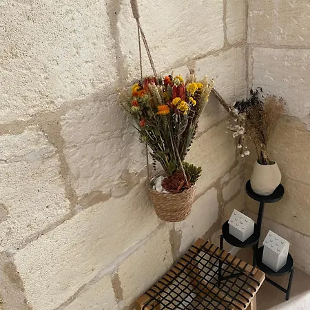 Escapade Cosy Charme Bordelais Centre Apartment