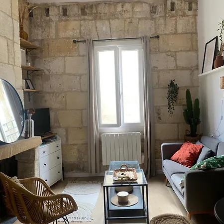 Escapade Cosy Charme Bordelais Centre Apartment Bordeaux