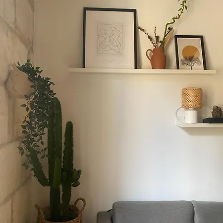 Appartement Escapade Cosy Charme Bordelais Centre Bordeaux